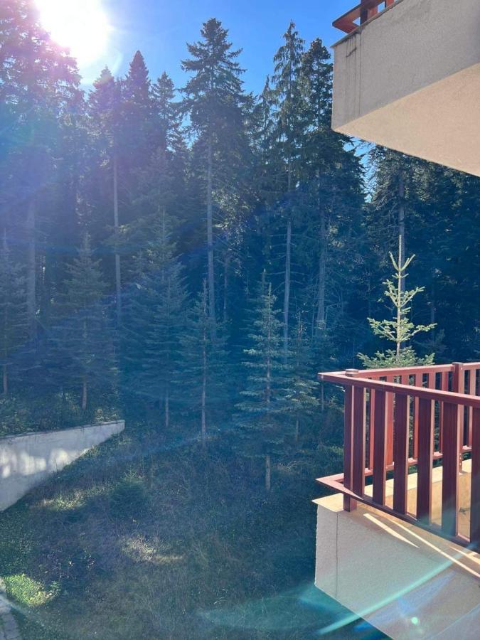 Arboro Flora Residence Studio Borovets Dış mekan fotoğraf