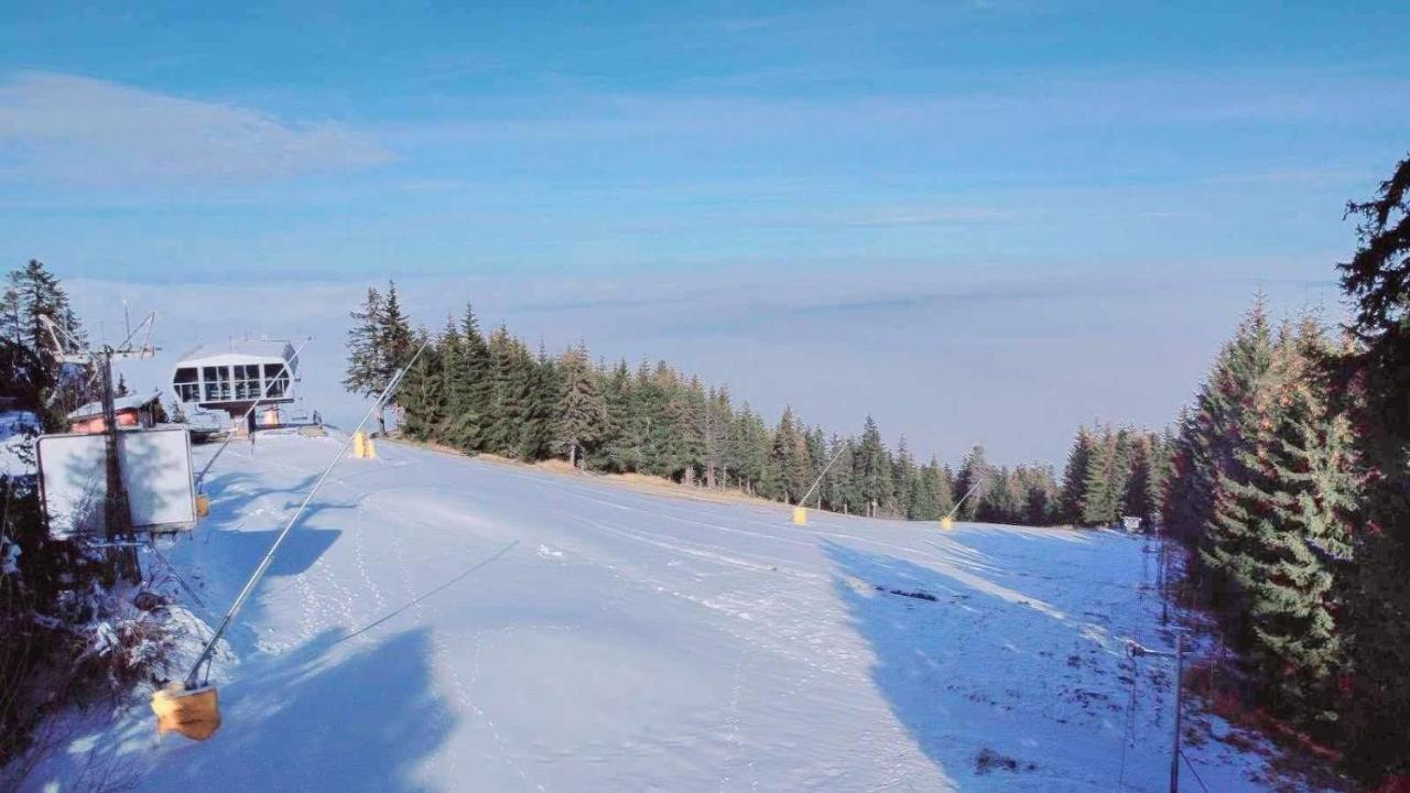 Arboro Flora Residence Studio Borovets Dış mekan fotoğraf