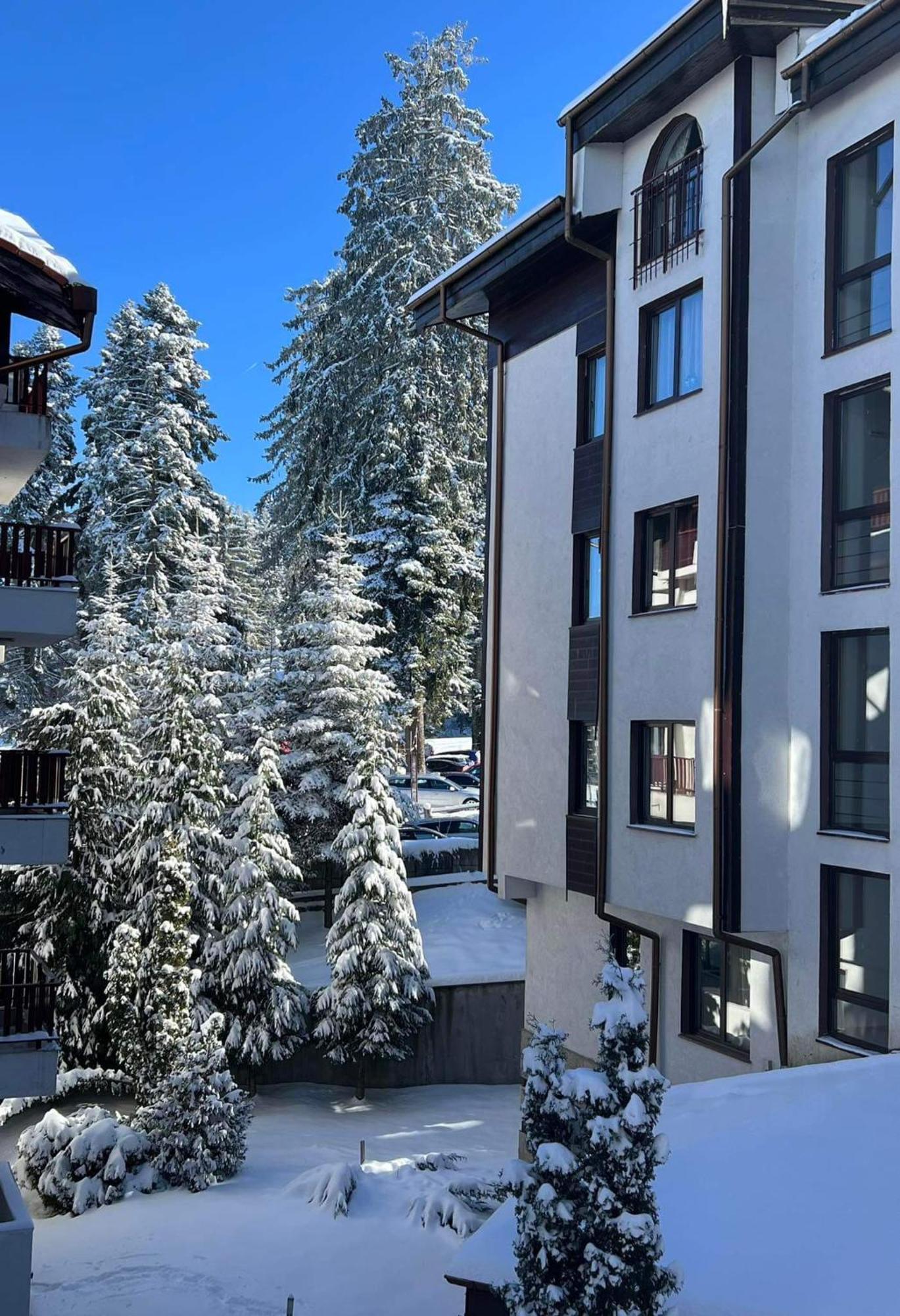 Arboro Flora Residence Studio Borovets Dış mekan fotoğraf