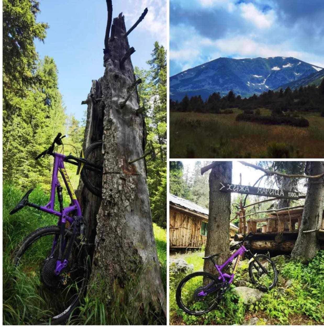 Arboro Flora Residence Studio Borovets Dış mekan fotoğraf