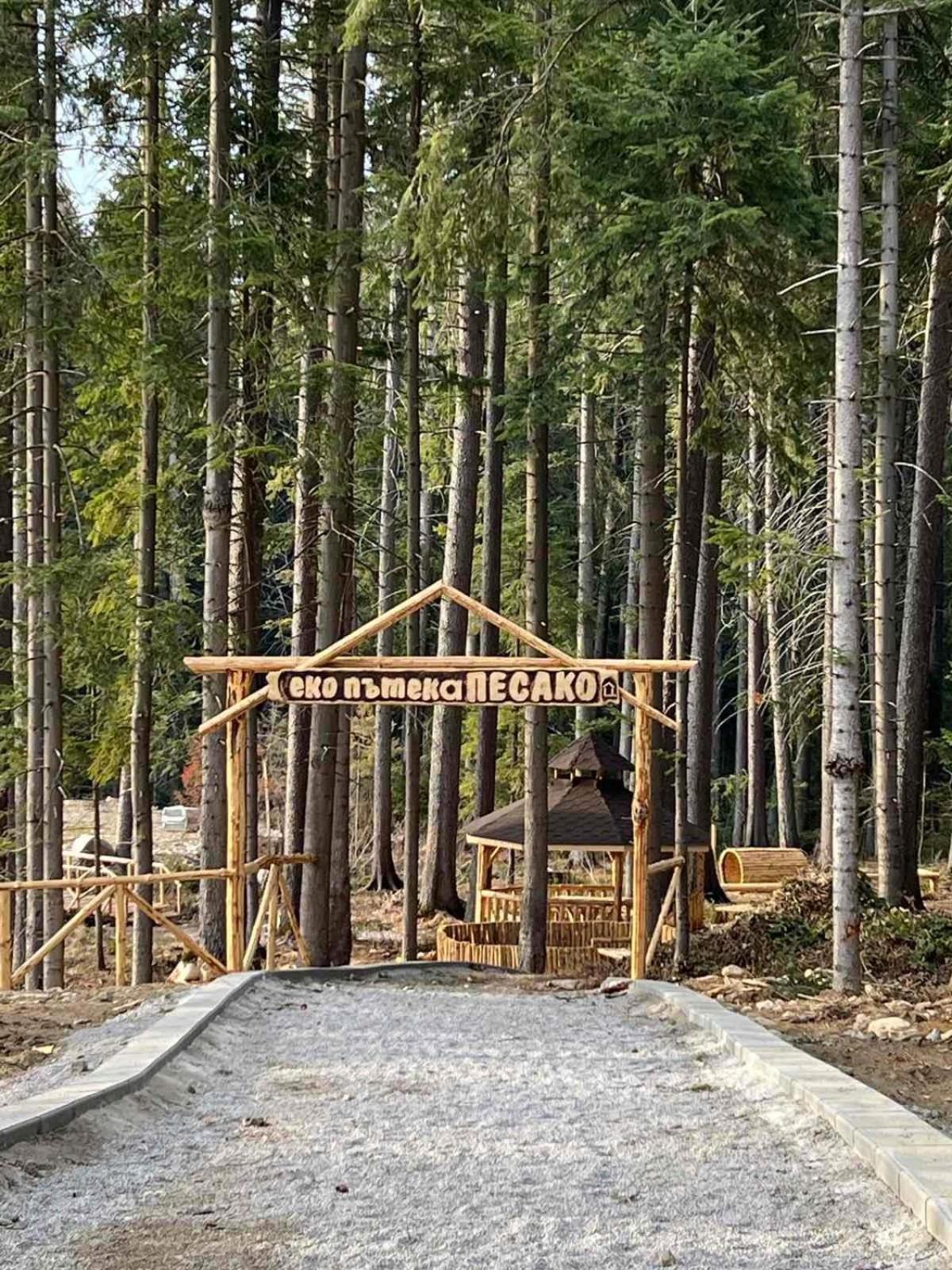 Arboro Flora Residence Studio Borovets Dış mekan fotoğraf