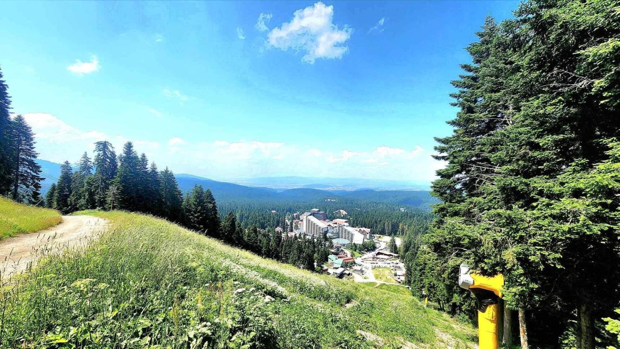 Arboro Flora Residence Studio Borovets Dış mekan fotoğraf